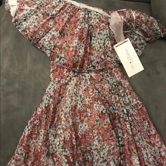 GIAMBATTISTA Valli x H&M One-Shoulder Floral Dress NWT - Picture 6 of 11
